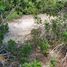 Terrain à vendre à Othon P Blanco, Quintana Roo, Othon P Blanco