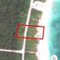  Grundstück zu verkaufen in Othon P Blanco, Quintana Roo, Othon P Blanco