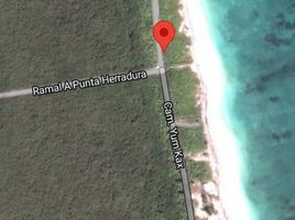  Grundstück zu verkaufen in Othon P Blanco, Quintana Roo, Othon P Blanco