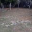  Terrain for sale in Othon P Blanco, Quintana Roo, Othon P Blanco