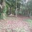  Terrain for sale in Othon P Blanco, Quintana Roo, Othon P Blanco