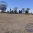  Terreno (Parcela) en venta en Lagos De Moreno, Jalisco, Lagos De Moreno