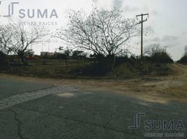 Terrain à vendre à Altamira, Tamaulipas, Altamira