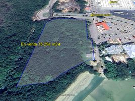  Grundstück zu verkaufen in Othon P Blanco, Quintana Roo, Othon P Blanco