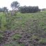  Land for sale in Palizada, Campeche, Palizada