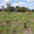  Terreno (Parcela) en venta en Palizada, Campeche, Palizada