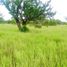  Terreno (Parcela) en venta en Palizada, Campeche, Palizada