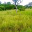  Terreno (Parcela) en venta en Palizada, Campeche, Palizada
