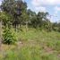  Terreno (Parcela) en venta en Palizada, Campeche, Palizada