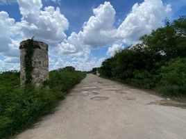  Land for sale in Valladolid, Yucatan, Valladolid