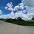  Land for sale in Valladolid, Yucatan, Valladolid