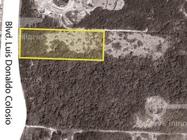  Land for sale in Cancun, Quintana Roo, Cancun