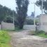  Grundstück zu verkaufen in Zinacatepec, Mexico, Zinacatepec