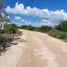 Terrain à vendre à Othon P Blanco, Quintana Roo, Othon P Blanco
