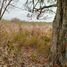  Land for sale in Vega De Alatorre, Veracruz, Vega De Alatorre