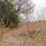  Land for sale in Vega De Alatorre, Veracruz, Vega De Alatorre