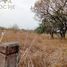  Land for sale in Vega De Alatorre, Veracruz, Vega De Alatorre