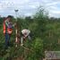  Terreno (Parcela) en venta en La Union, Guerrero, La Union
