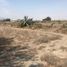  Land for sale in Tepeyahualco, Puebla, Tepeyahualco