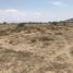  Land for sale in Tepeyahualco, Puebla, Tepeyahualco