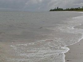  Terreno (Parcela) en venta en Bocas del Toro, Guabito, Changuinola, Bocas del Toro