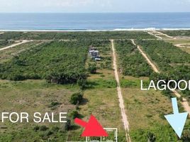  Terreno (Parcela) en venta en Dist Juquila, Oaxaca, Dist Juquila