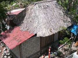  Grundstück zu verkaufen in Cozumel, Quintana Roo, Cozumel