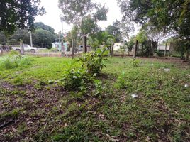 Grundstück zu verkaufen in Othon P Blanco, Quintana Roo, Othon P Blanco