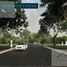  Terreno (Parcela) en venta en Yaxkukul, Yucatán, Yaxkukul