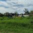  Terreno (Parcela) en venta en Tantima, Veracruz, Tantima
