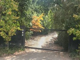  Land for sale in Chile, Santiago, Santiago, Santiago, Chile