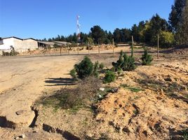  Terreno (Parcela) en venta en Chile, Viña del Mar, Valparaíso, Valparaíso, Chile