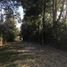 Land for sale in Chile, Las Cabras, Cachapoal, Libertador General Bernardo Ohiggins, Chile