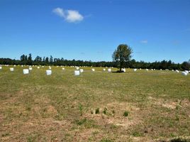  Land for sale in Los Lagos, Rio Negro, Osorno, Los Lagos