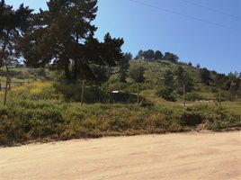  Terreno (Parcela) en venta en Chile, Viña del Mar, Valparaíso, Valparaíso, Chile