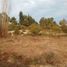  Land for sale in Las Cabras, Cachapoal, Las Cabras