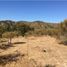 Land for sale in Las Cabras, Cachapoal, Las Cabras