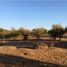  Land for sale in Las Cabras, Cachapoal, Las Cabras