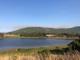  Land for sale in Chile, Canete, Arauco, Biobío, Chile