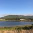  Land for sale in Canete, Biobío, Canete, Arauco