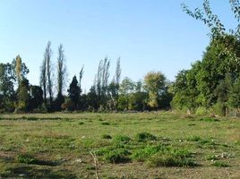  Land for sale in Maule, Villa Alegre, Linares, Maule