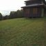  Land for sale in Chile, Ancud, Chiloe, Los Lagos, Chile