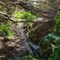  Land for sale in Chile, Olmue, Quillota, Valparaiso, Chile
