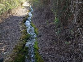 Land for sale in Chile, Olmue, Quillota, Valparaiso, Chile