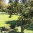  Land for sale in Chile, San Bernardo, Maipo, Santiago, Chile