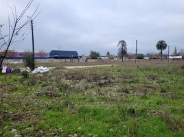  Land for sale in Nuble, Chillan, Diguillin, Nuble