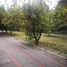  Land for sale in Chile, San Jode De Maipo, Cordillera, Santiago, Chile