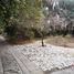  Land for sale in Chile, San Jode De Maipo, Cordillera, Santiago, Chile
