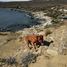  Terreno (Parcela) en venta en Coquimbo, Coquimbo, Elqui, Coquimbo