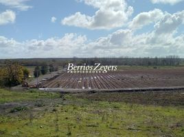  Land for sale in Chile, Chillan, Diguillin, Nuble, Chile